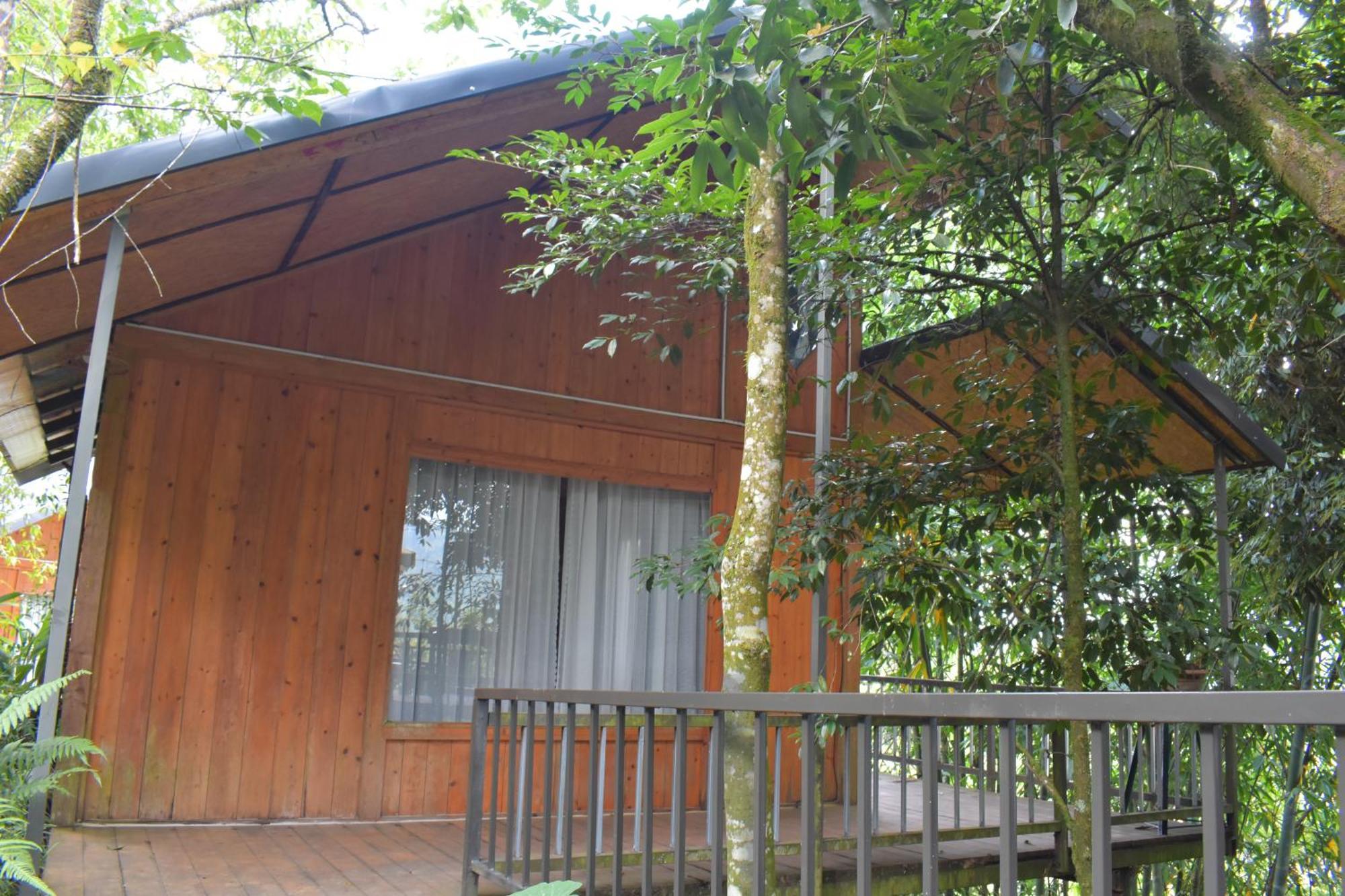Sapa Jungle Homestay Exterior photo