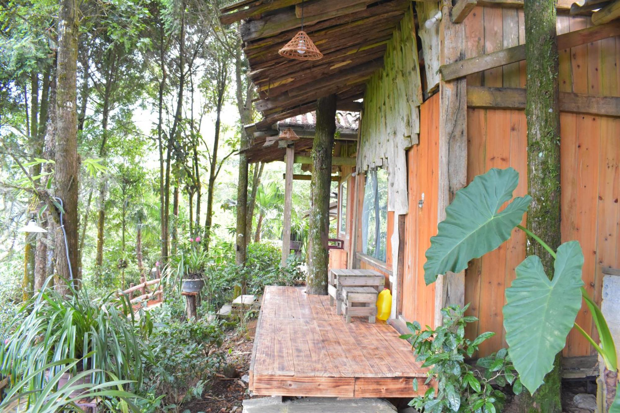 Sapa Jungle Homestay Exterior photo