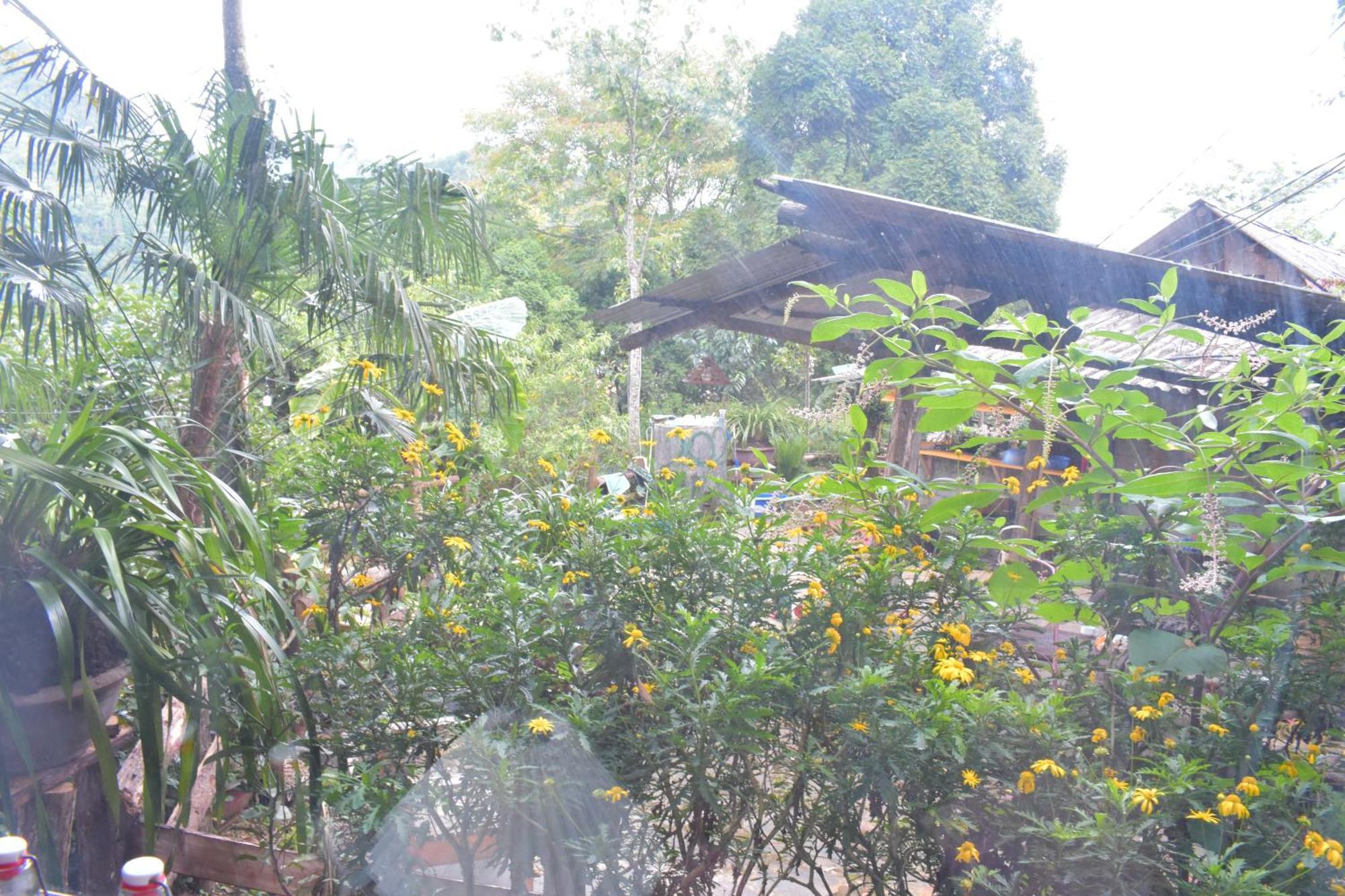 Sapa Jungle Homestay Exterior photo